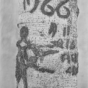 Arborglyph #3, Colorado Gulch Hailey (22 1_2_x16 3_4_)