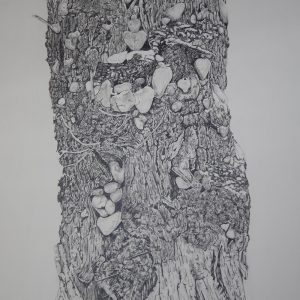 Heart Tree, Draper Preserve Hailey(14x22)