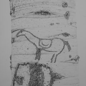 Arborglyph #14, ,Lake Creek Ketchum Idaho (21x28 3:4, Framed)